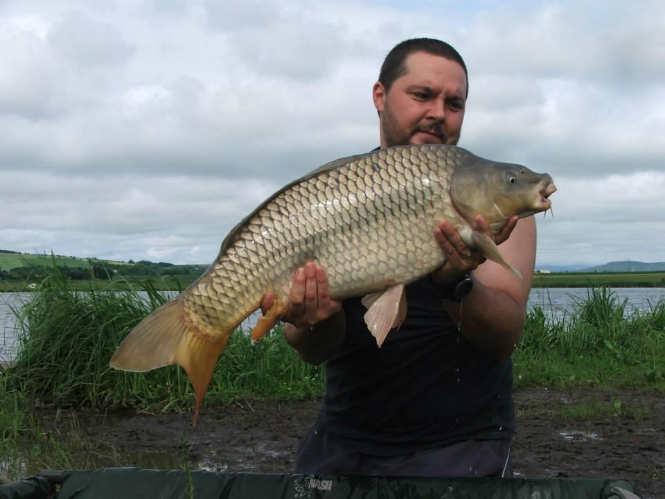 Lates iunie 2013 - 995400593196830747522191982371n.jpg